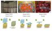 PrimePro EAP 乙烯吸附包裝 [EAP],型號(hào):PrimePro EAP,品牌:美國(guó)DeltaTRAK