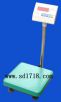 大稱量電子天平,30kg,2-5g,型號:DT30K,品牌:長青天平