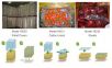 PrimePro EAP 乙烯吸附包裝 [EAP],型號(hào):PrimePro EAP,品牌:美國(guó)DeltaTRAK